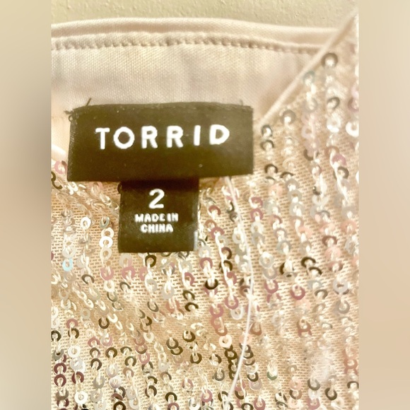 Torrid Maxi Crop Top Skirt SET - Champagne Color
SIZE 2 = 18-20    ⭐️NWT⭐️ - Picture 3 of 16